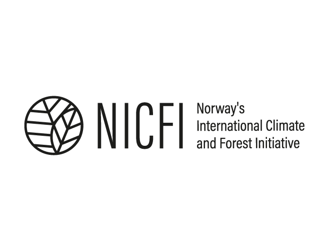 logo-nicfi